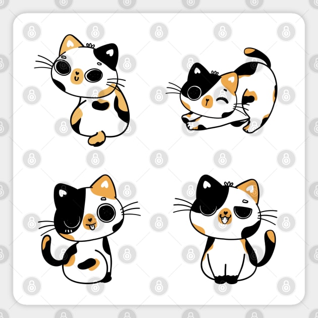Cute calico cat sales